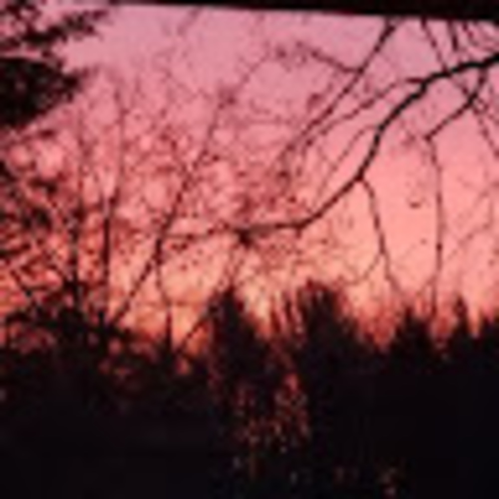 Meet your Posher, Gaetana